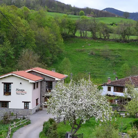 Alesga Rural - Valles Del Oso -asturias 3*