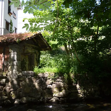 Hotel Alesga Rural - Valles Del Oso -asturias 3*