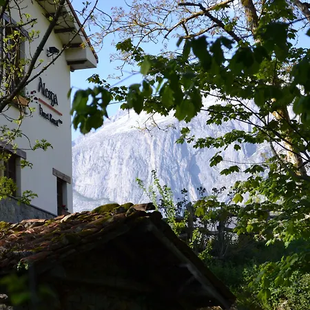 Alesga Rural - Valles Del Oso -asturias 3*