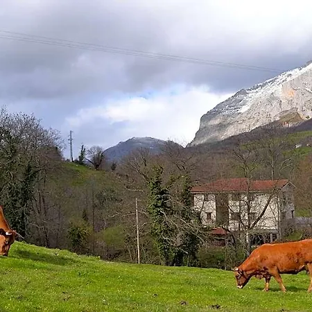 Alesga Rural - Valles Del Oso -asturias Hotel San Salvador (Asturias)