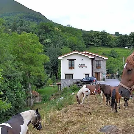 Alesga Rural - Valles Del Oso -asturias 3* San Salvador (Asturias)