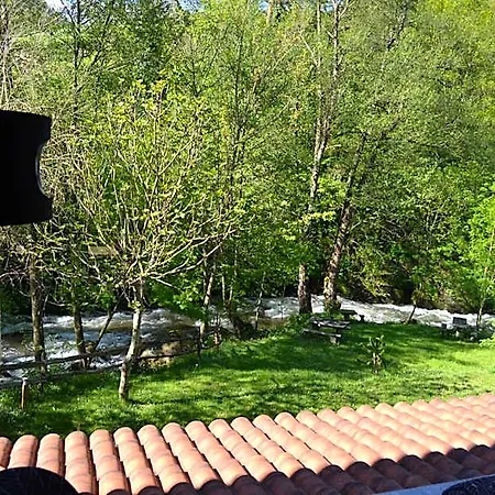Alesga Rural - Valles Del Oso -asturias