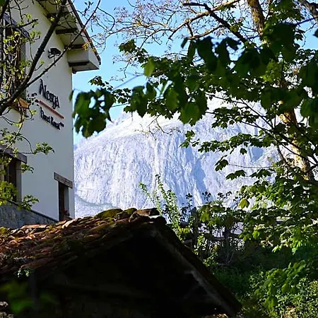 Alesga Rural - Valles Del Oso -asturias