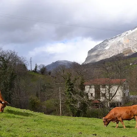 Alesga Rural - Valles Del Oso -asturias 3* San Salvador (Asturias)