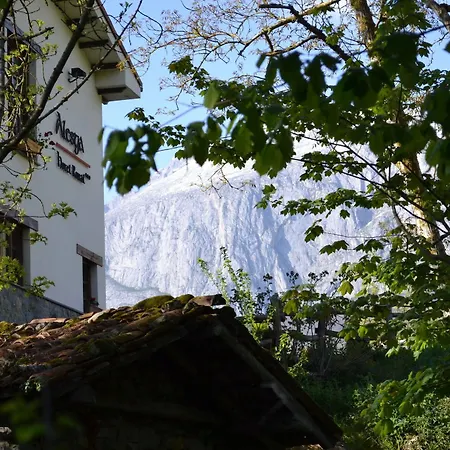 Alesga Rural - Valles Del Oso -asturias San Salvador (Asturias)