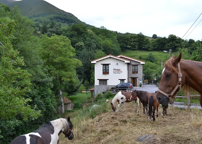 Alesga Rural - Valles Del Oso -asturias San Salvador (Asturias)