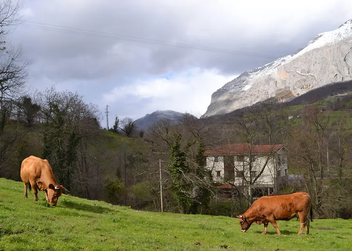 Hotel Alesga Rural - Valles Del Oso -asturias