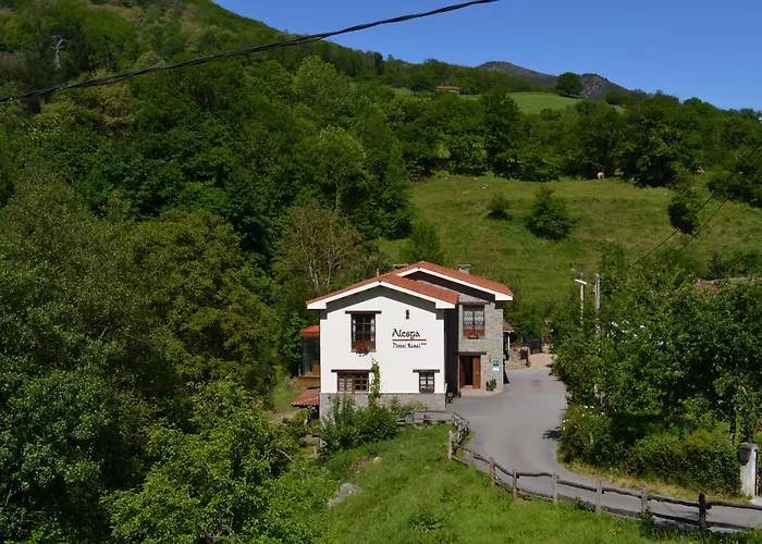 Alesga Rural - Valles Del Oso -asturias San Salvador (Asturias)