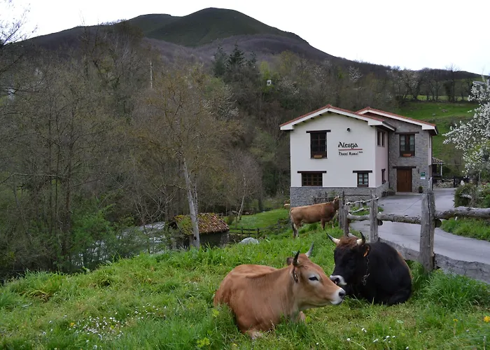Alesga Rural - Valles Del Oso -asturias Hotel San Salvador (Asturias)