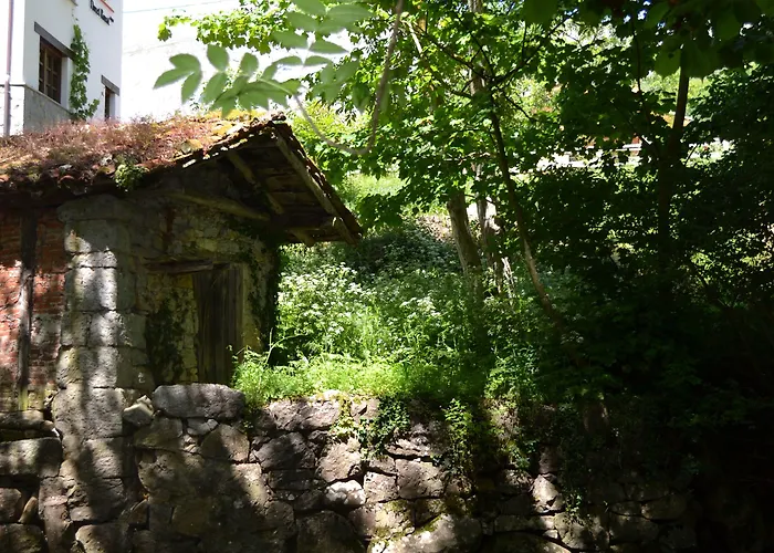 Hotel Alesga Rural - Valles Del Oso -asturias 3*