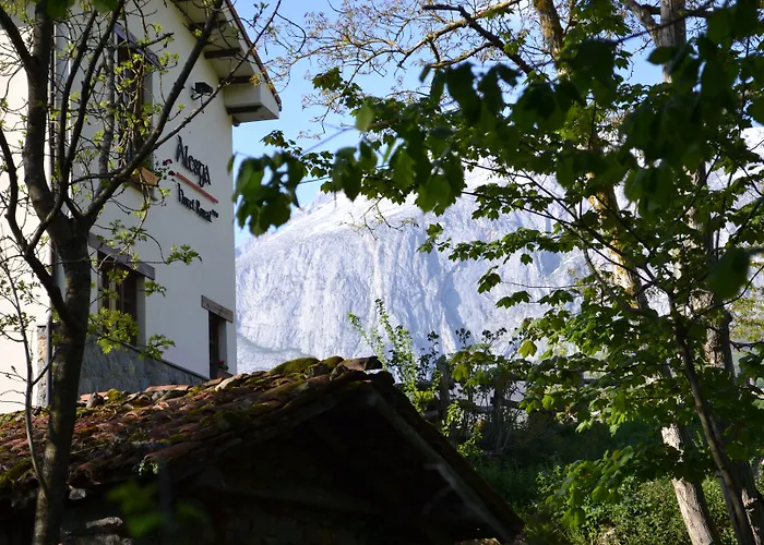 Alesga Rural - Valles Del Oso -asturias 3*